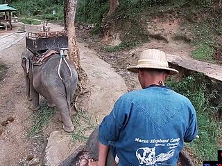 Elephant rijden close to Thailand met tieners