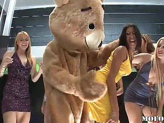 Dancing Bear Fucks Latina Kayla Carrera with respect to Hot Bachelorette Bunch